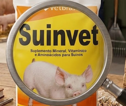 Suinvet Vetbras 1kg - Suplemento Mineral e Vitamínico para Suínos