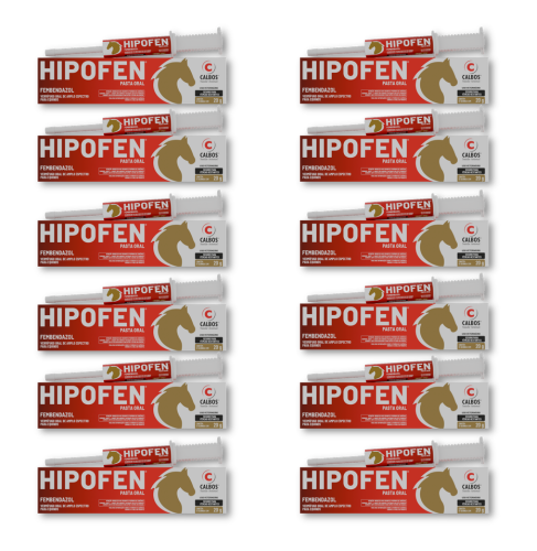 Hipofen Calbos 20g - Kit com 12 Unidades