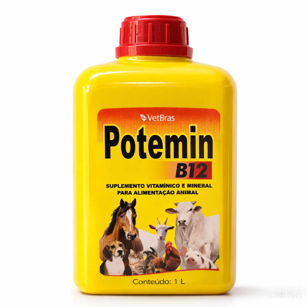 POTEMIN  -  1L